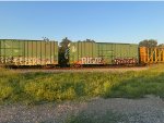 IBT 18767